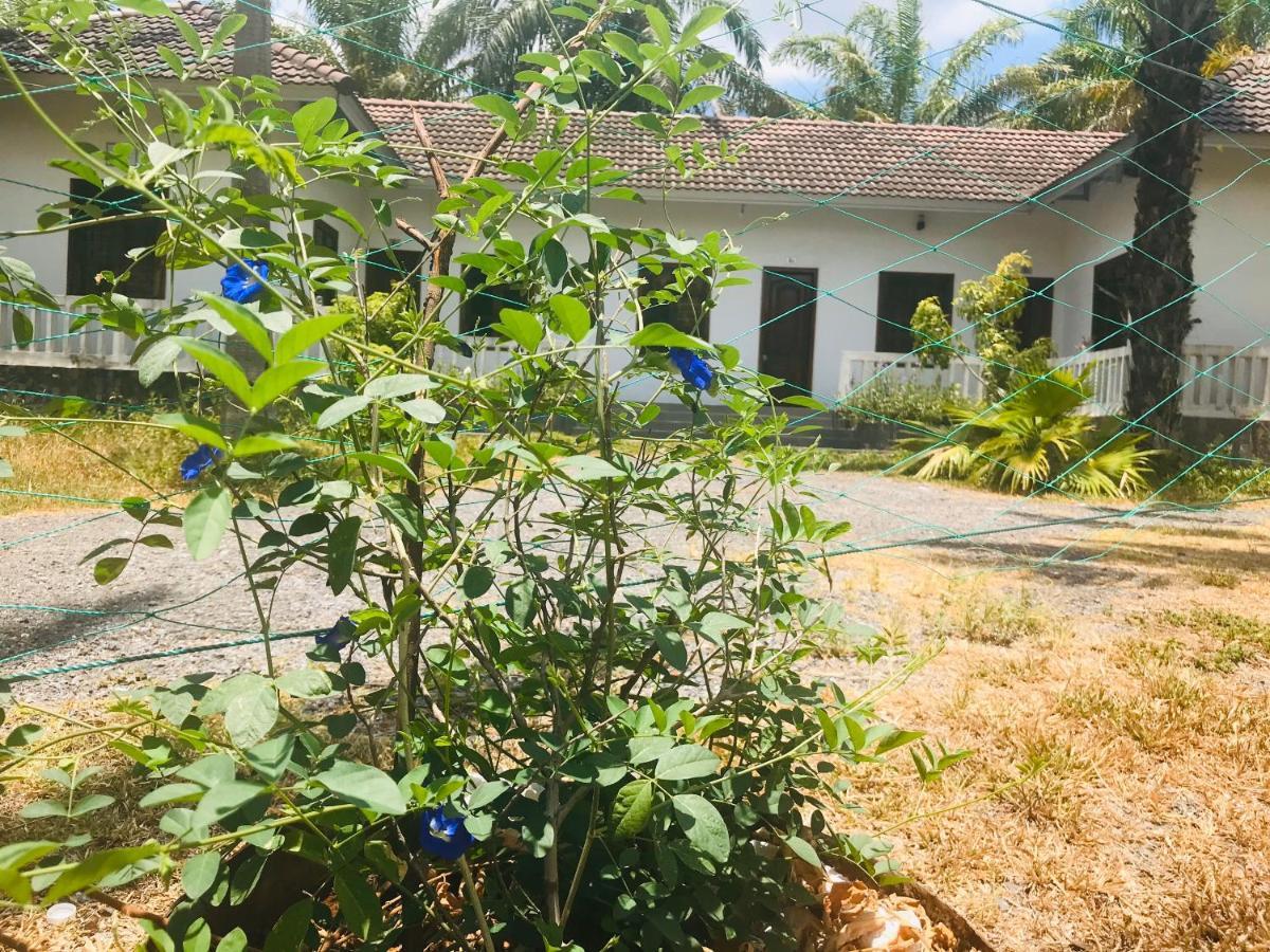 Hotel Palm Garden House Quang Tri Exteriér fotografie